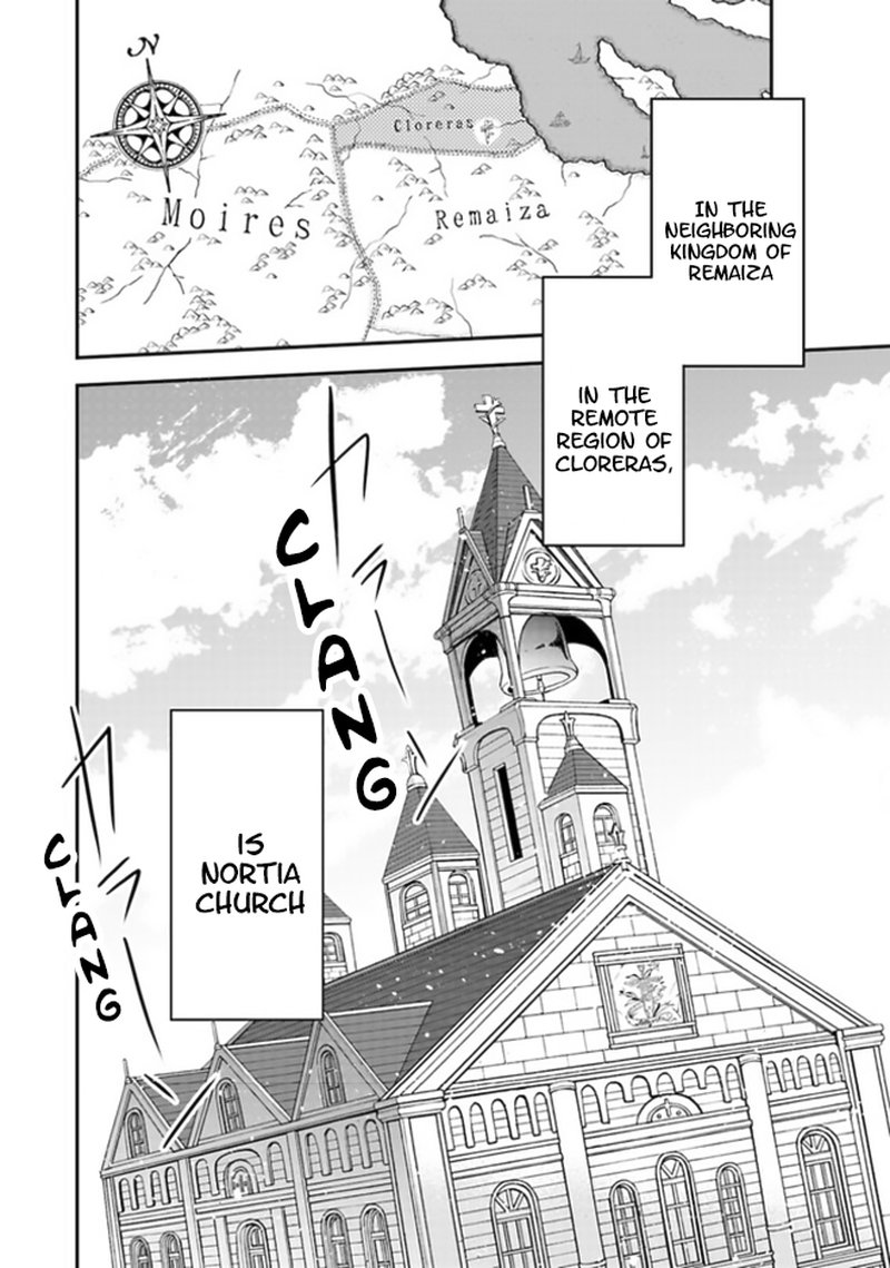 Akuyaku Reijou No Tsuihougo 1 7