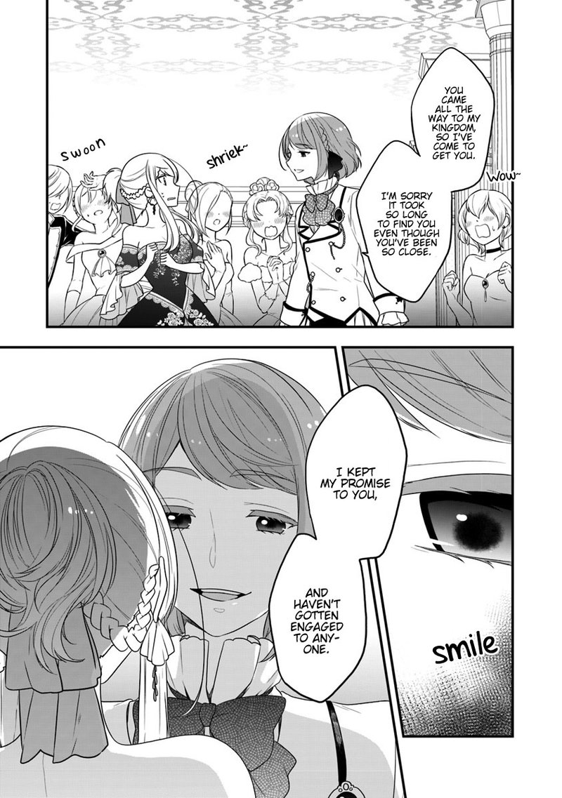 Akuyaku Reijou No Tsuihougo 10 29