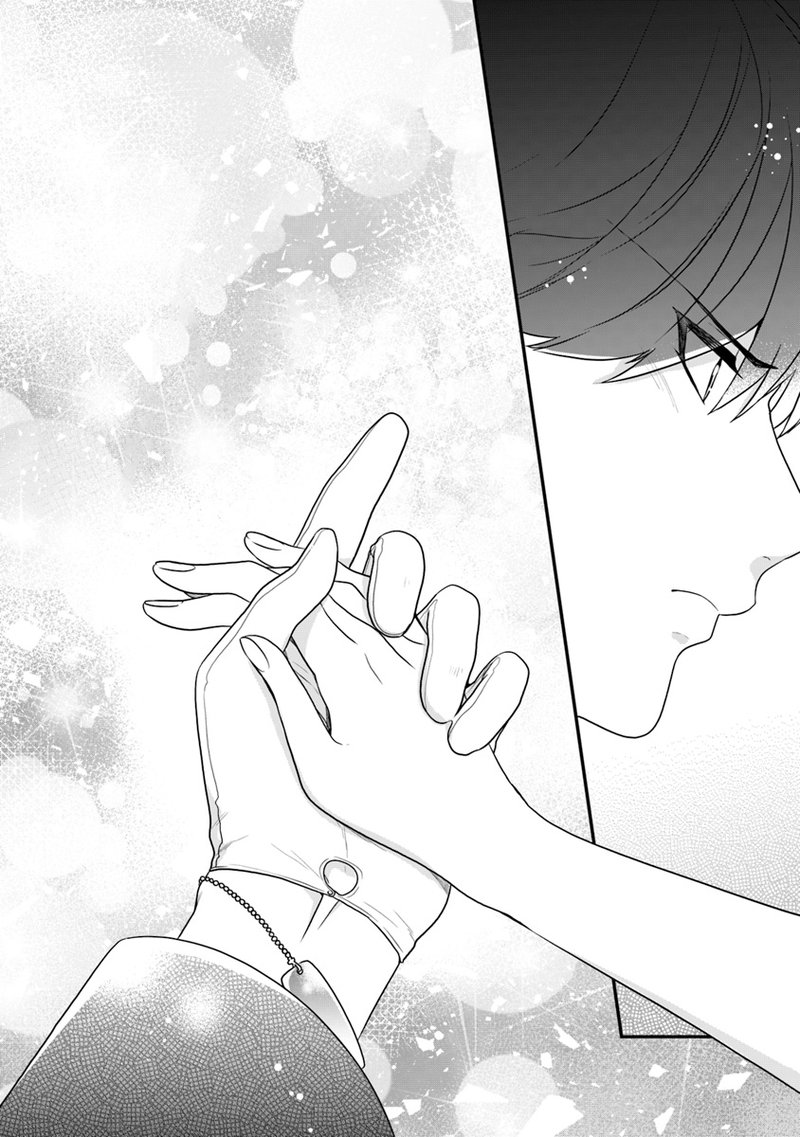 Akuyaku Reijou No Tsuihougo 12 20