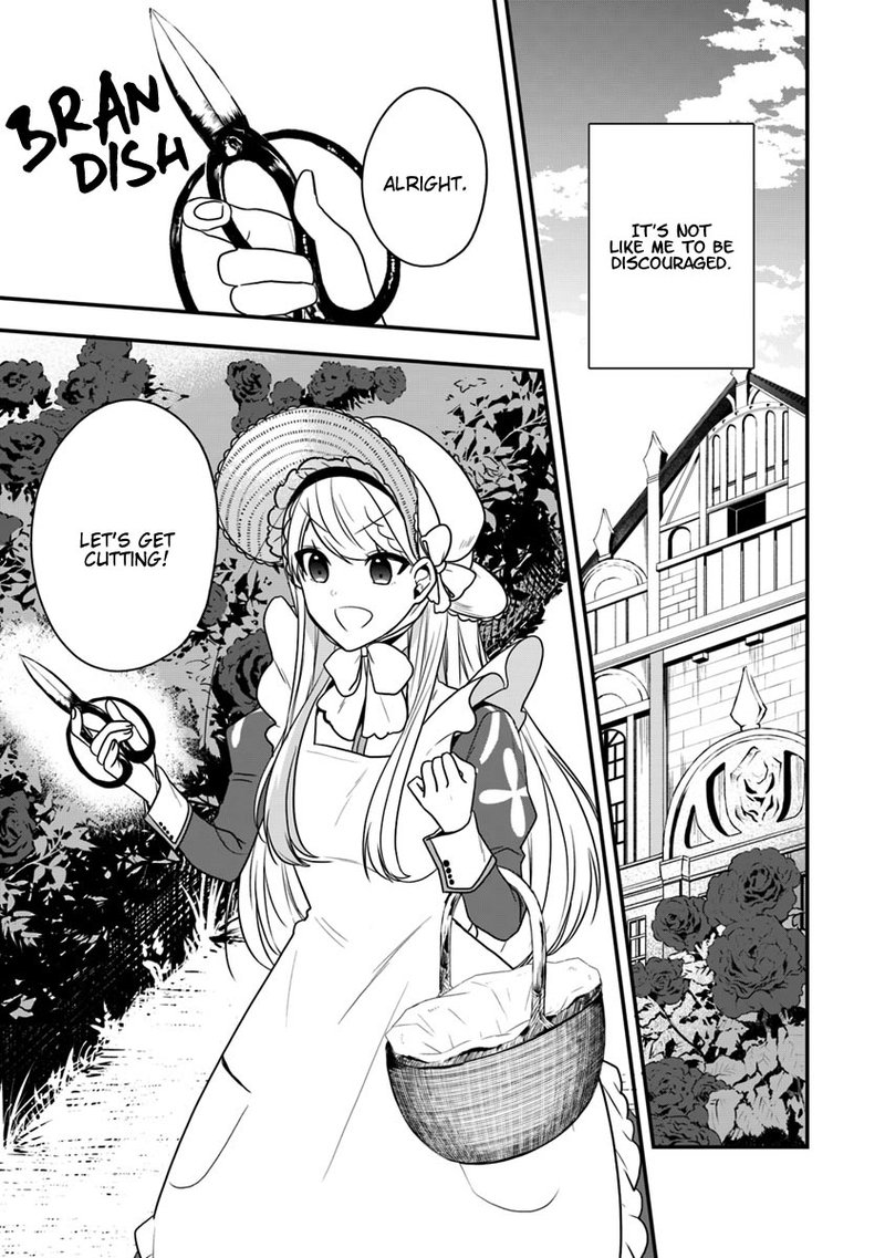 Akuyaku Reijou No Tsuihougo 13 9