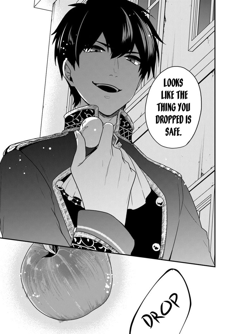 Akuyaku Reijou No Tsuihougo 17 21
