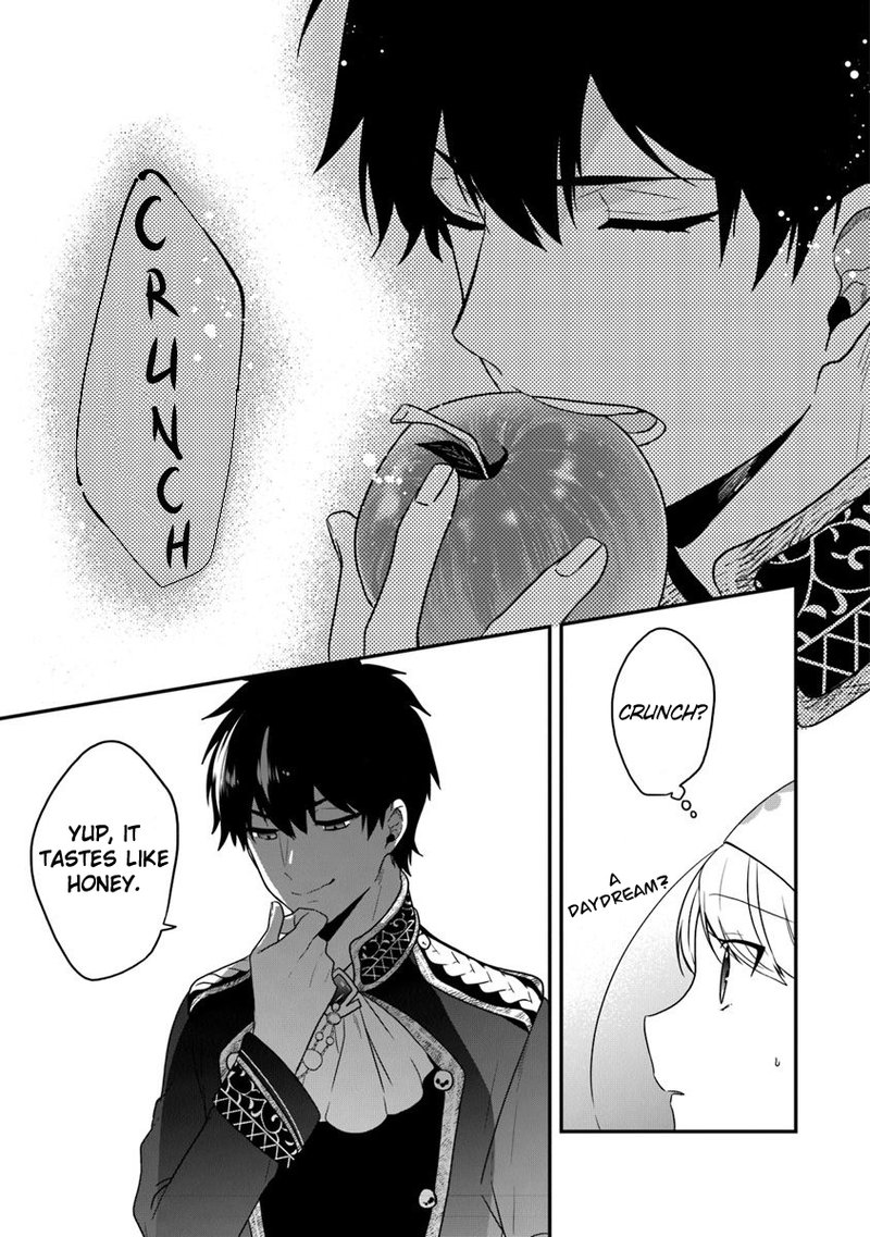 Akuyaku Reijou No Tsuihougo 17 23