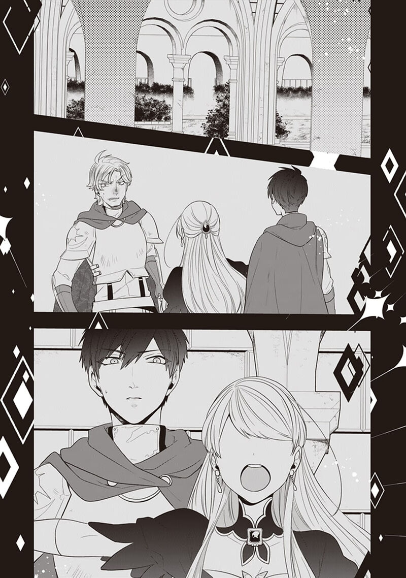 Akuyaku Reijou No Tsuihougo 24 29
