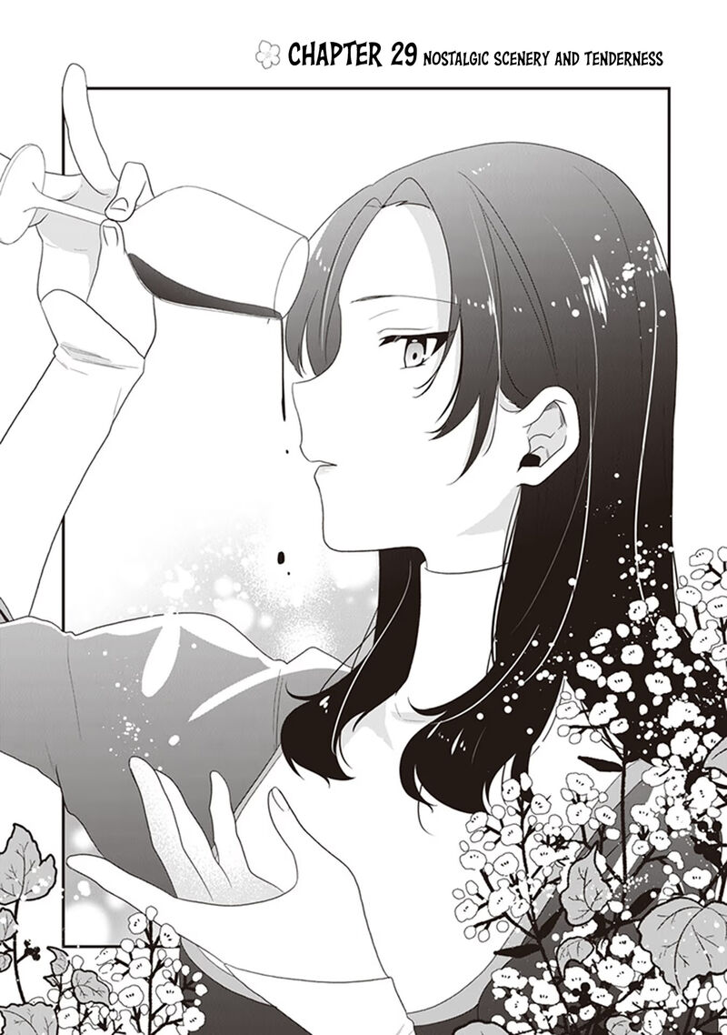 Akuyaku Reijou No Tsuihougo 29 2