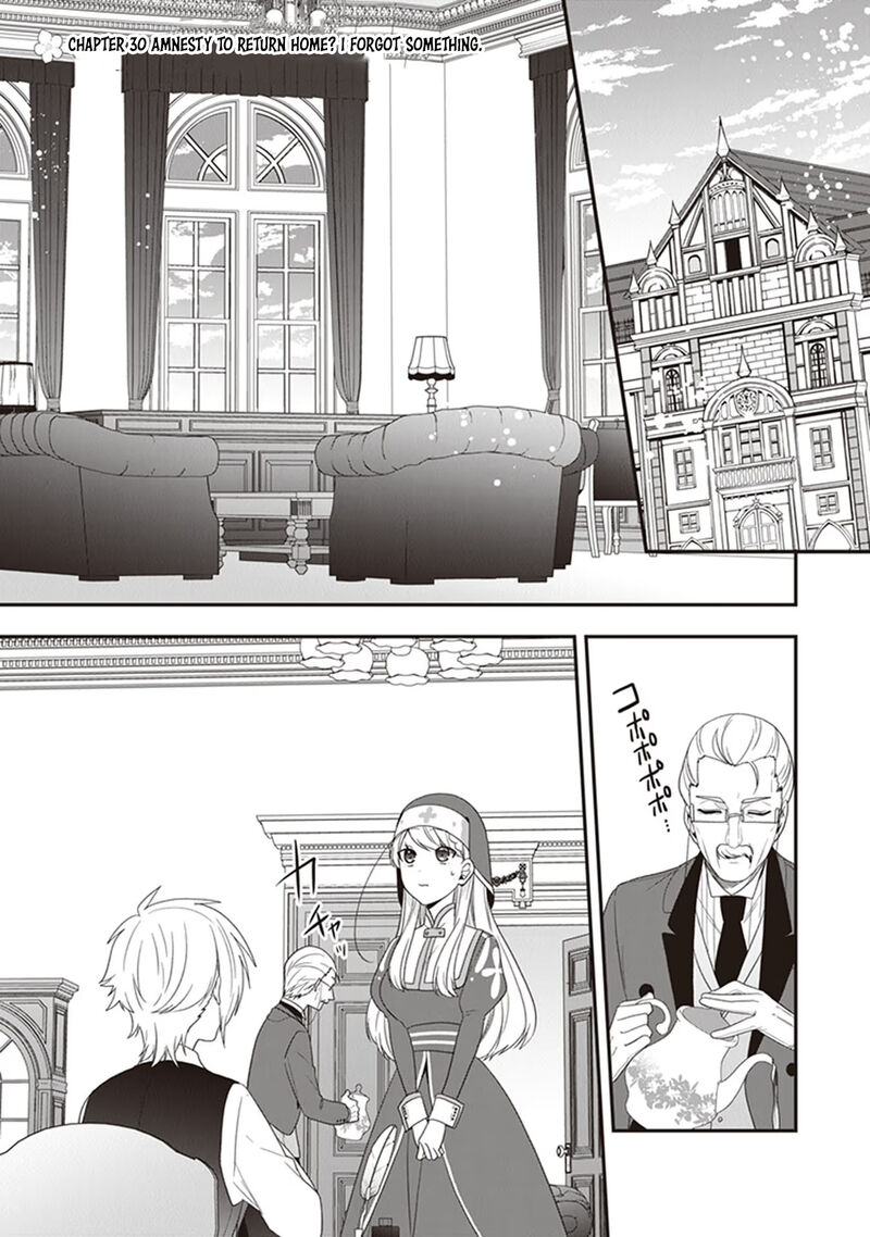 Akuyaku Reijou No Tsuihougo 30 1