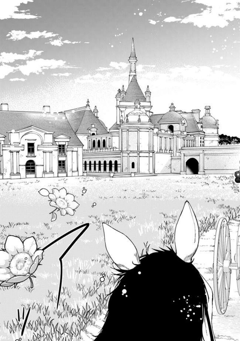 Akuyaku Reijou No Tsuihougo 32 22