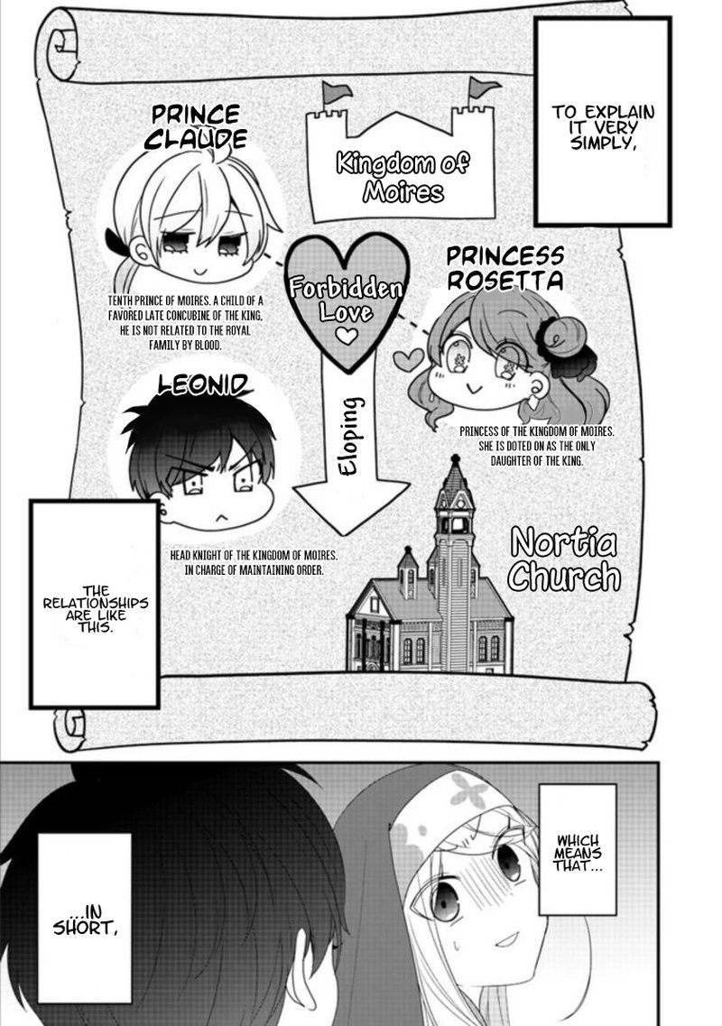 Akuyaku Reijou No Tsuihougo 7 31
