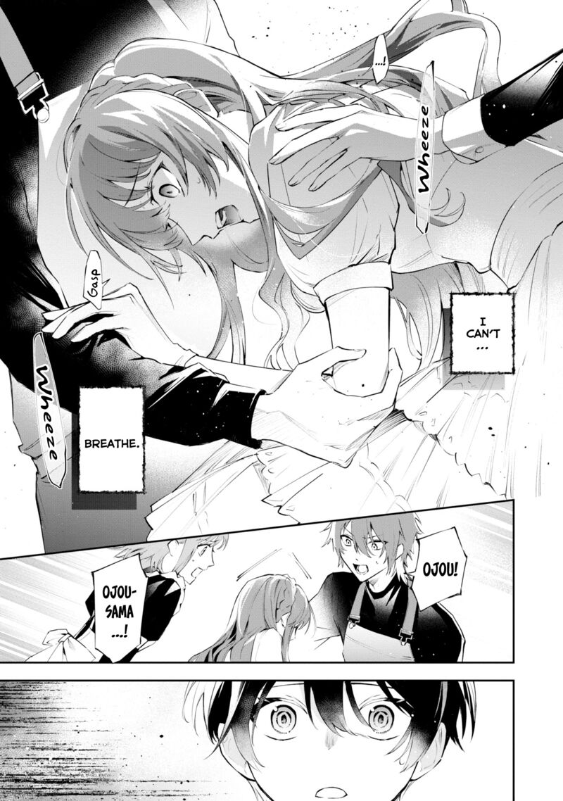 Akuyaku Reijou To Akuyaku Reisoku Ga Deatte Koi Ni Ochitanara 17 34