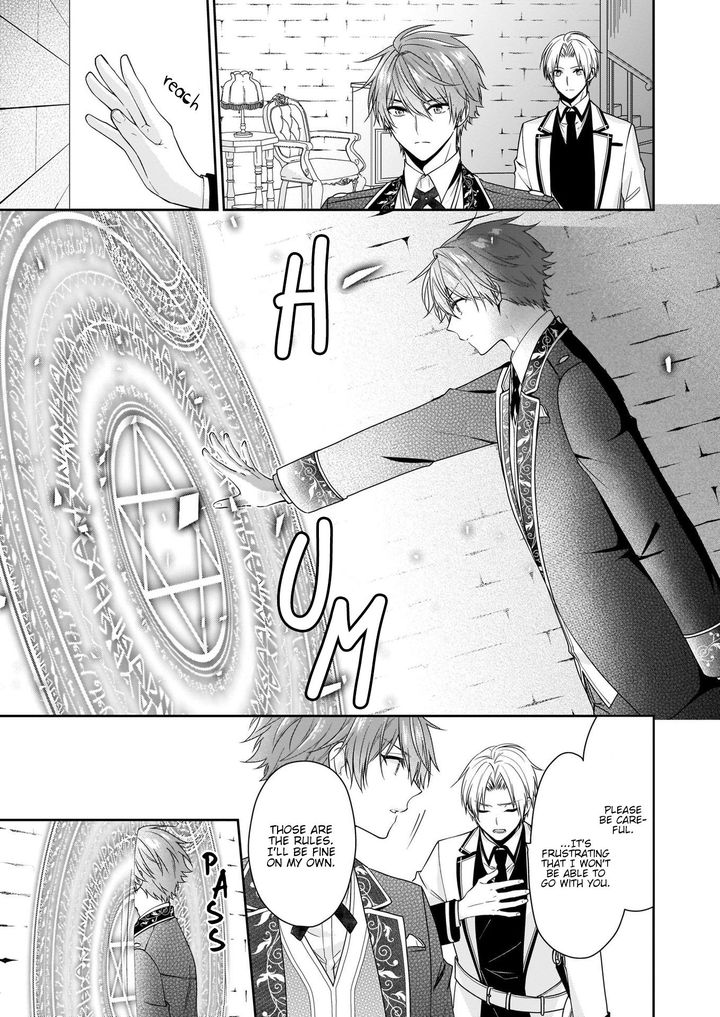 Akuyaku Reijou Wa Ringoku No Outaishi Ni Dekiai Sareru 19 17