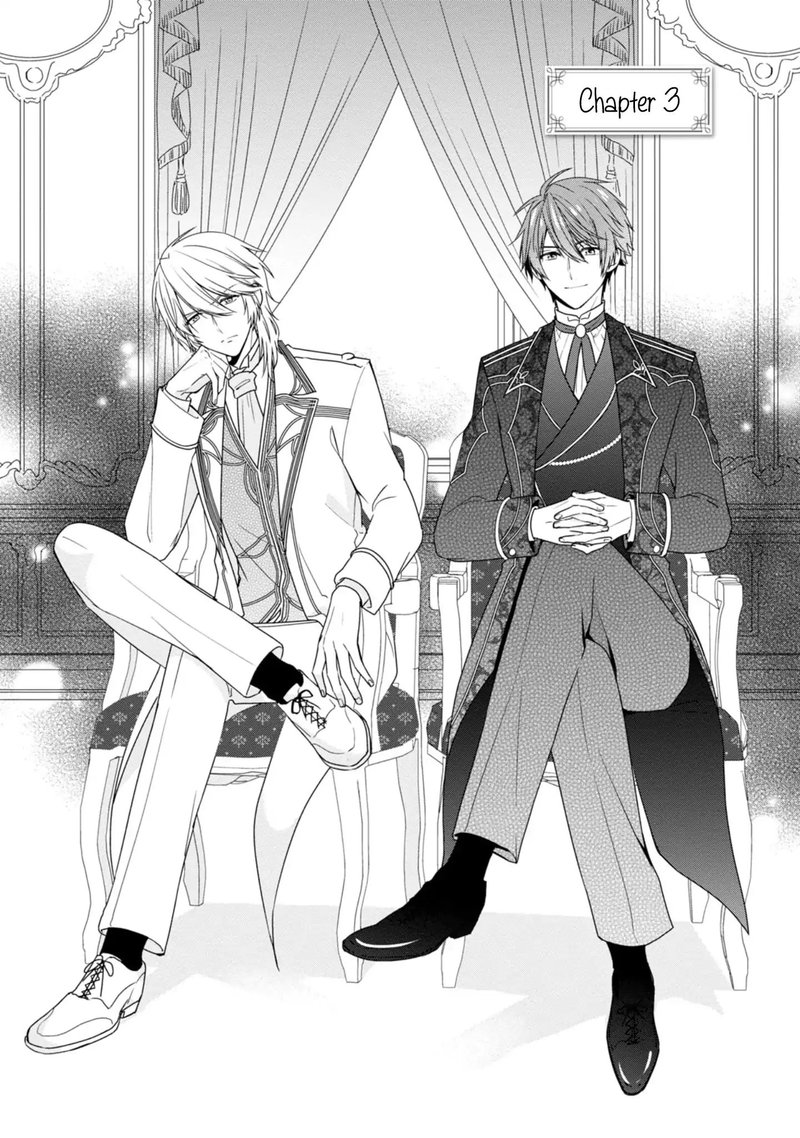 Akuyaku Reijou Wa Ringoku No Outaishi Ni Dekiai Sareru 3 2