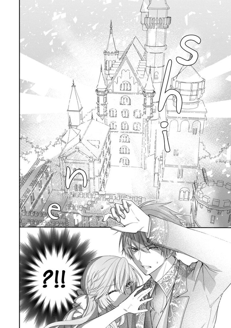 Akuyaku Reijou Wa Ringoku No Outaishi Ni Dekiai Sareru 8 36
