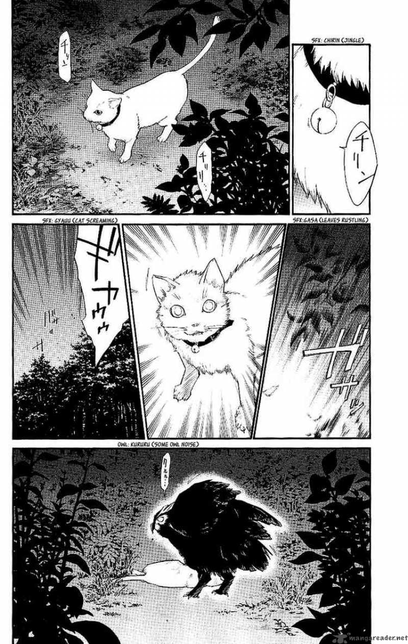 Alive The Final Evolution 19 6