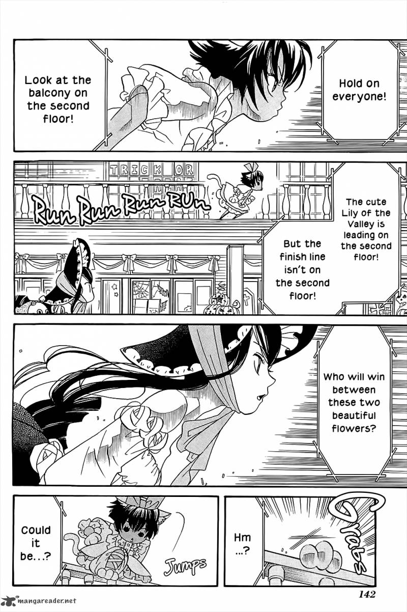 Amanchu 41 31