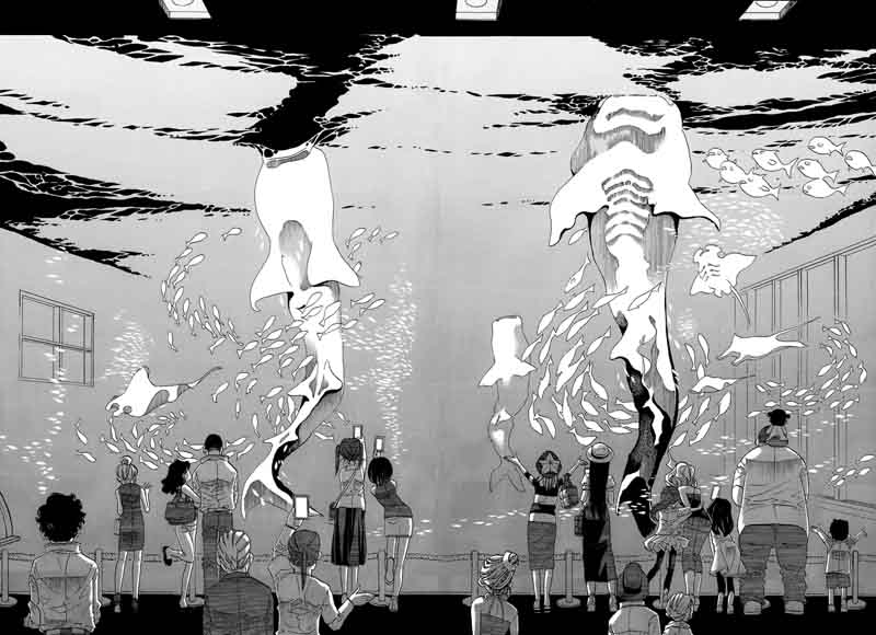 Amanchu 62 23