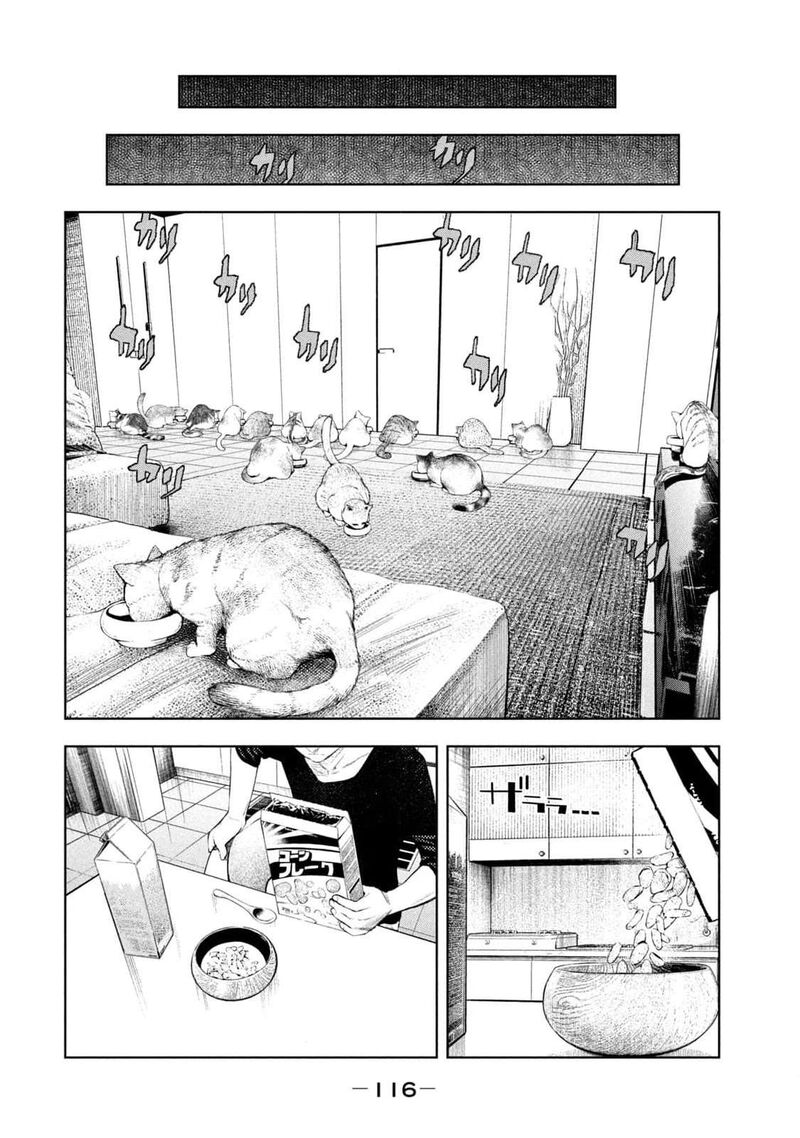 Amateur Vigilante 11 10