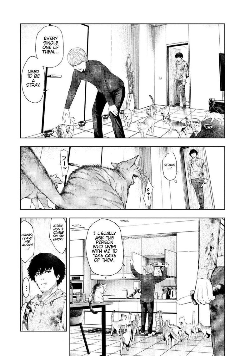 Amateur Vigilante 11 6