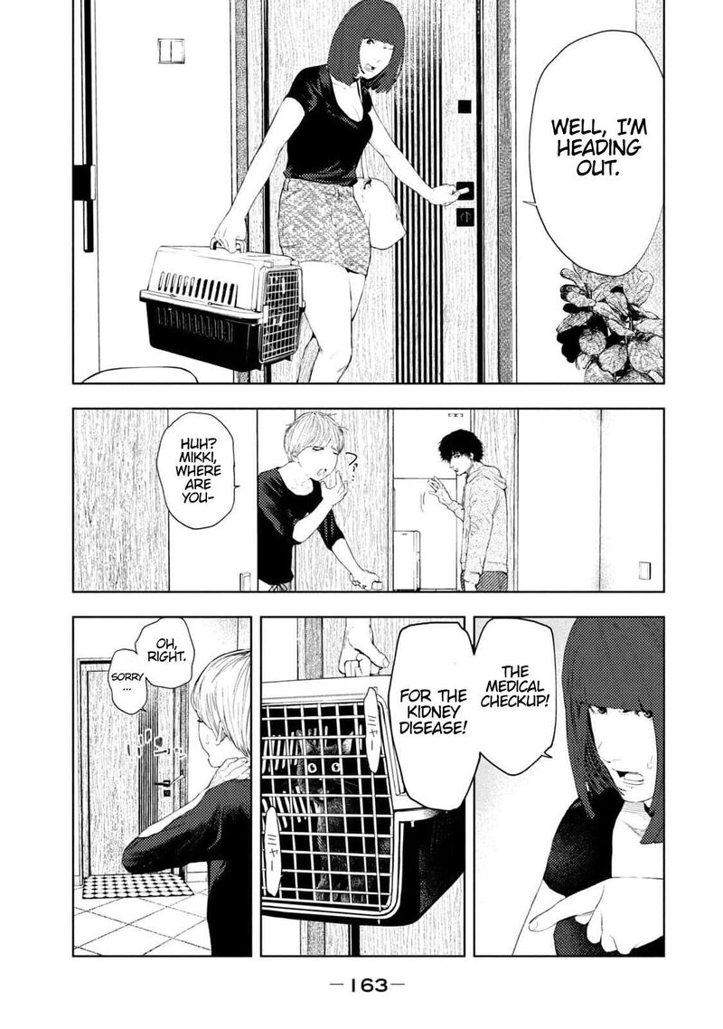 Amateur Vigilante 13 15