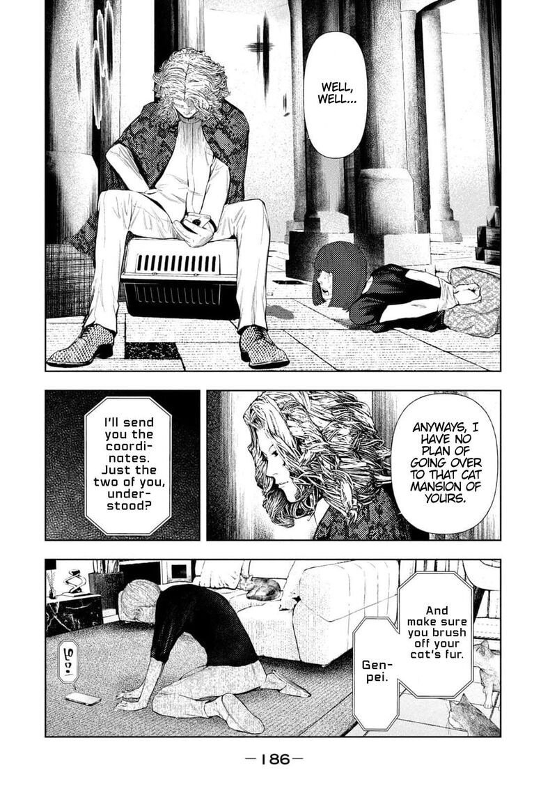 Amateur Vigilante 14 18