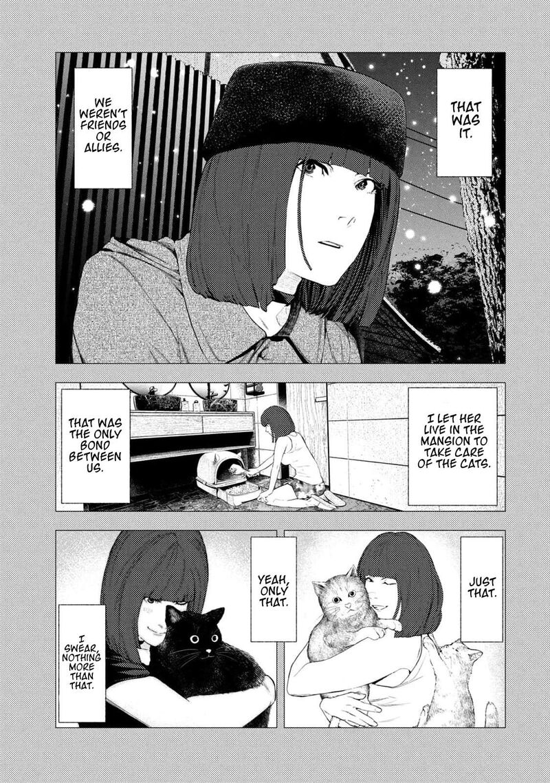 Amateur Vigilante 15 17