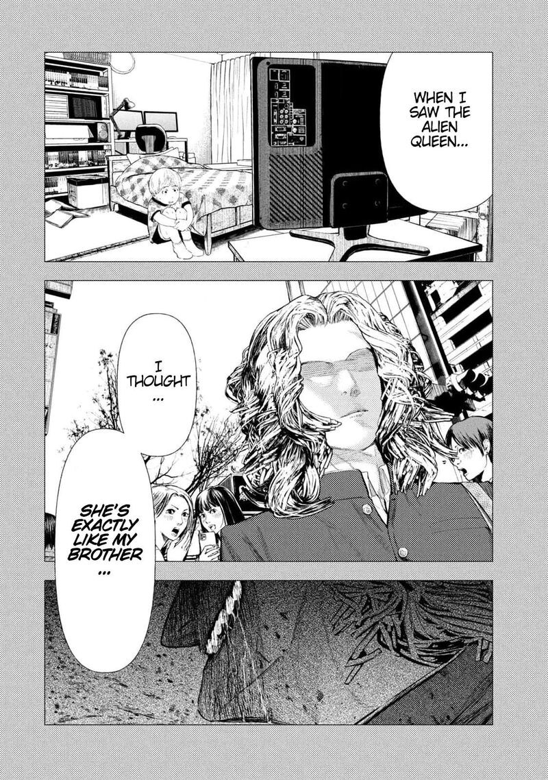 Amateur Vigilante 15 6