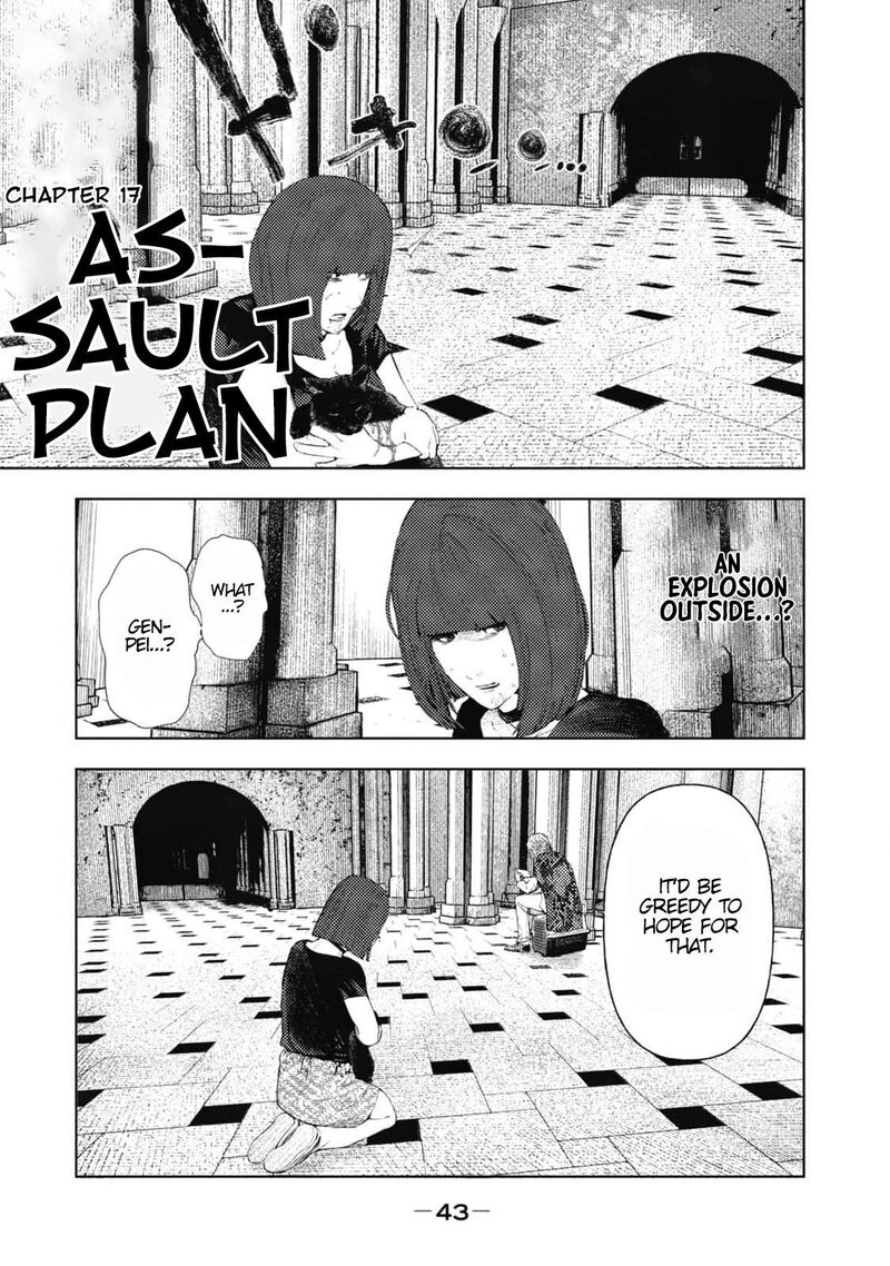 Amateur Vigilante 17 1