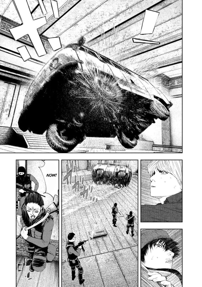 Amateur Vigilante 17 5