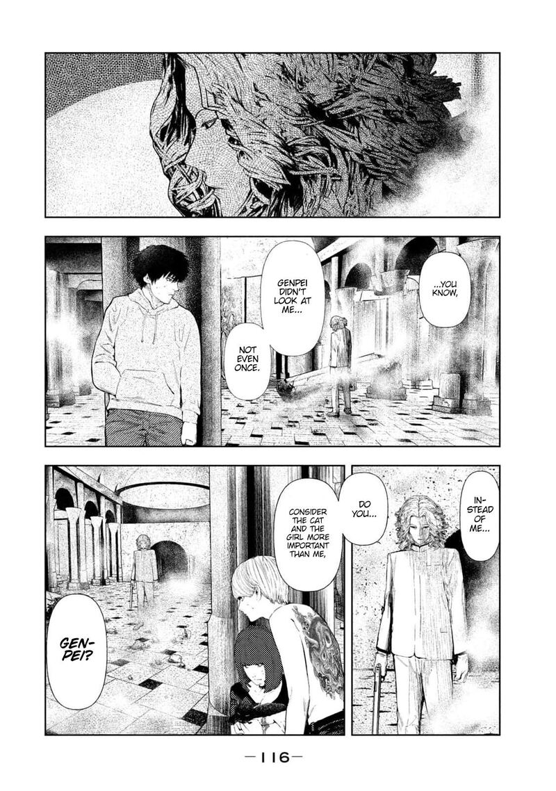 Amateur Vigilante 20 11