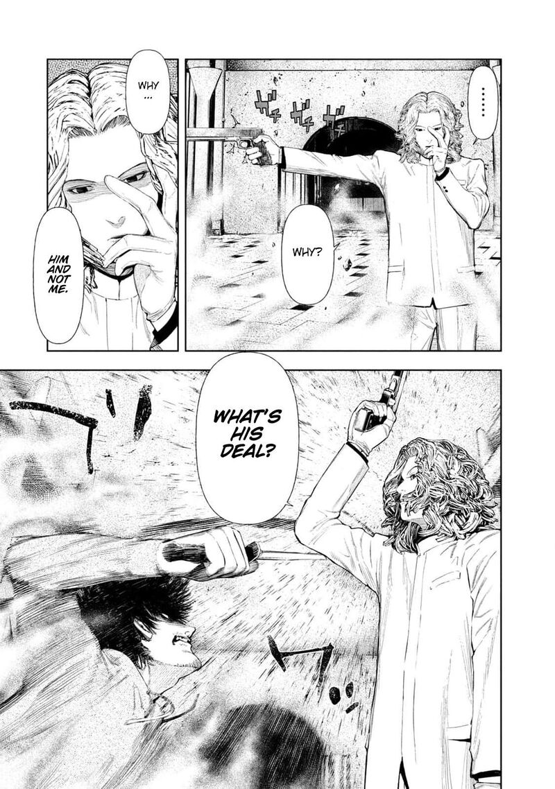 Amateur Vigilante 20 14