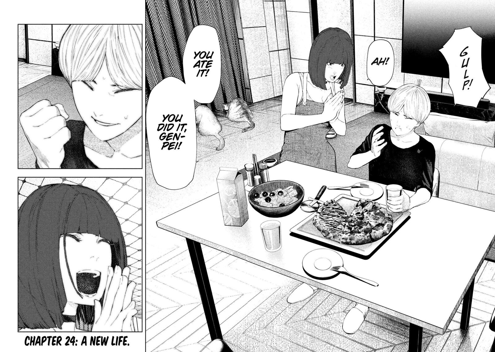 Amateur Vigilante 24 17