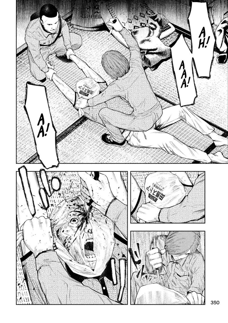 Amateur Vigilante 24 22