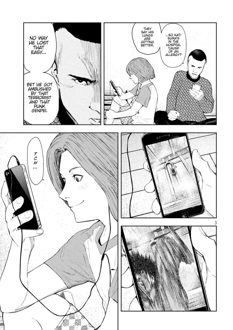 Amateur Vigilante 24 8