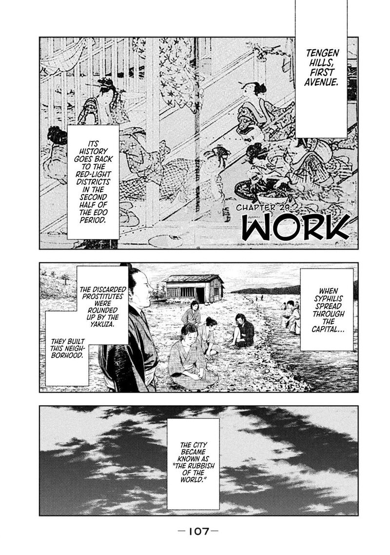 Amateur Vigilante 29 1