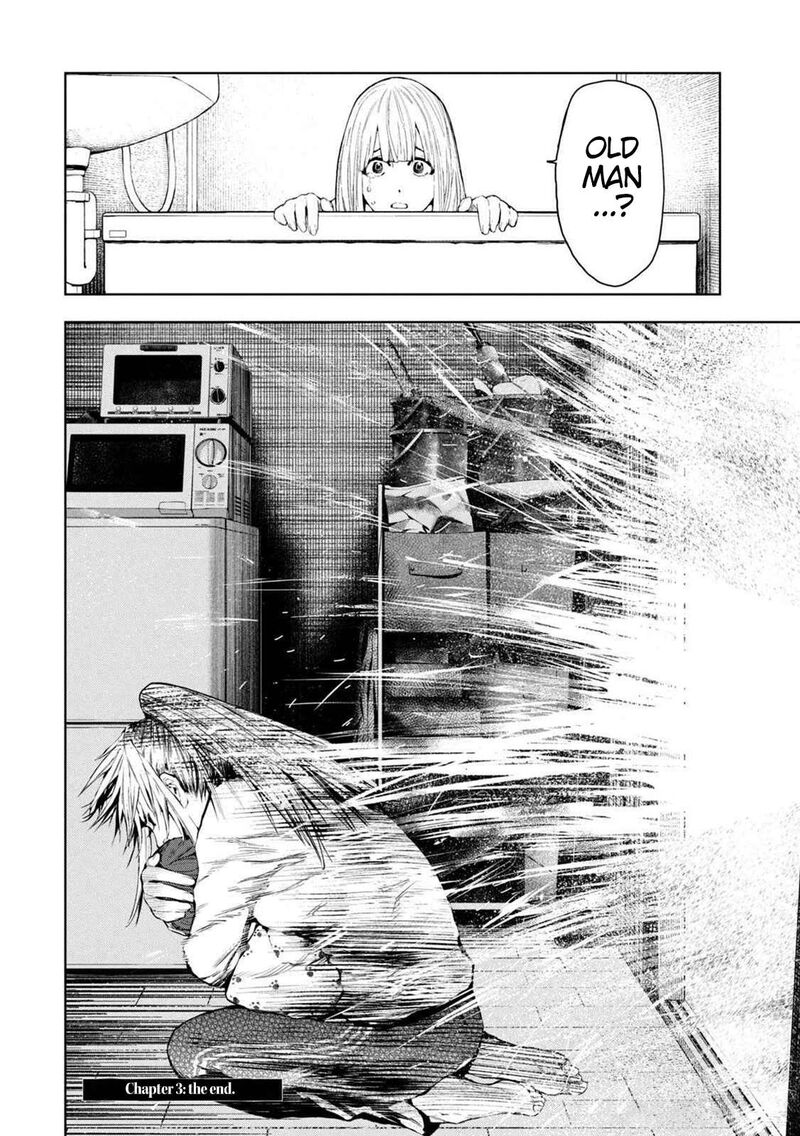 Amateur Vigilante 3 35