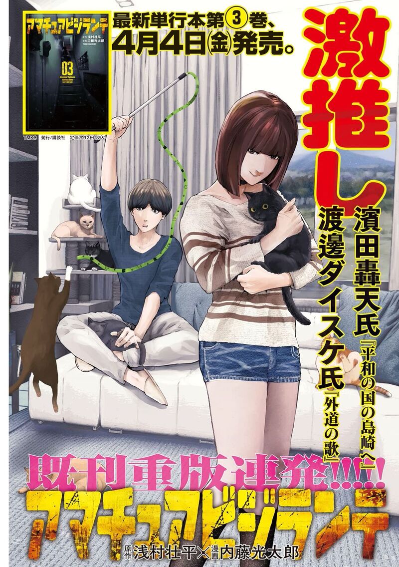 Amateur Vigilante 32 1