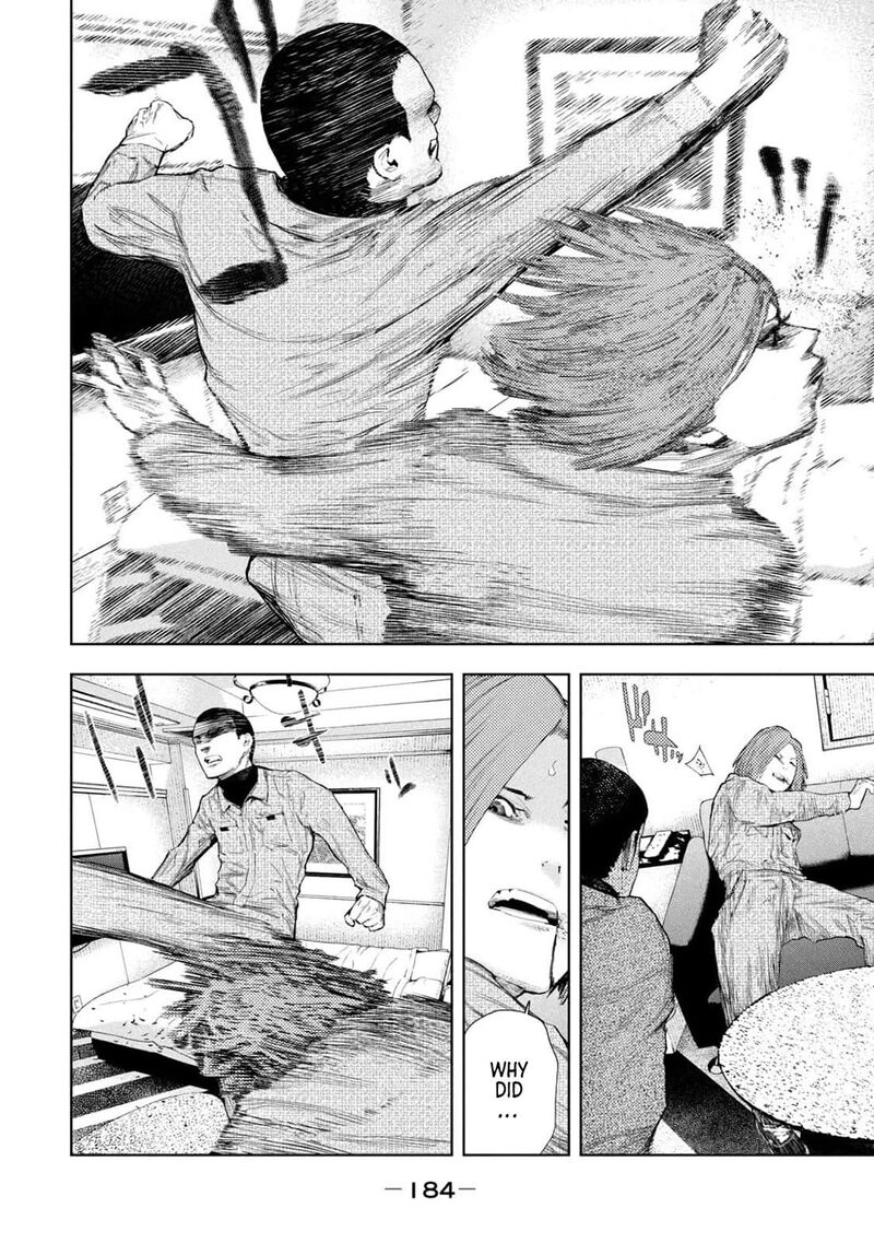 Amateur Vigilante 32 17