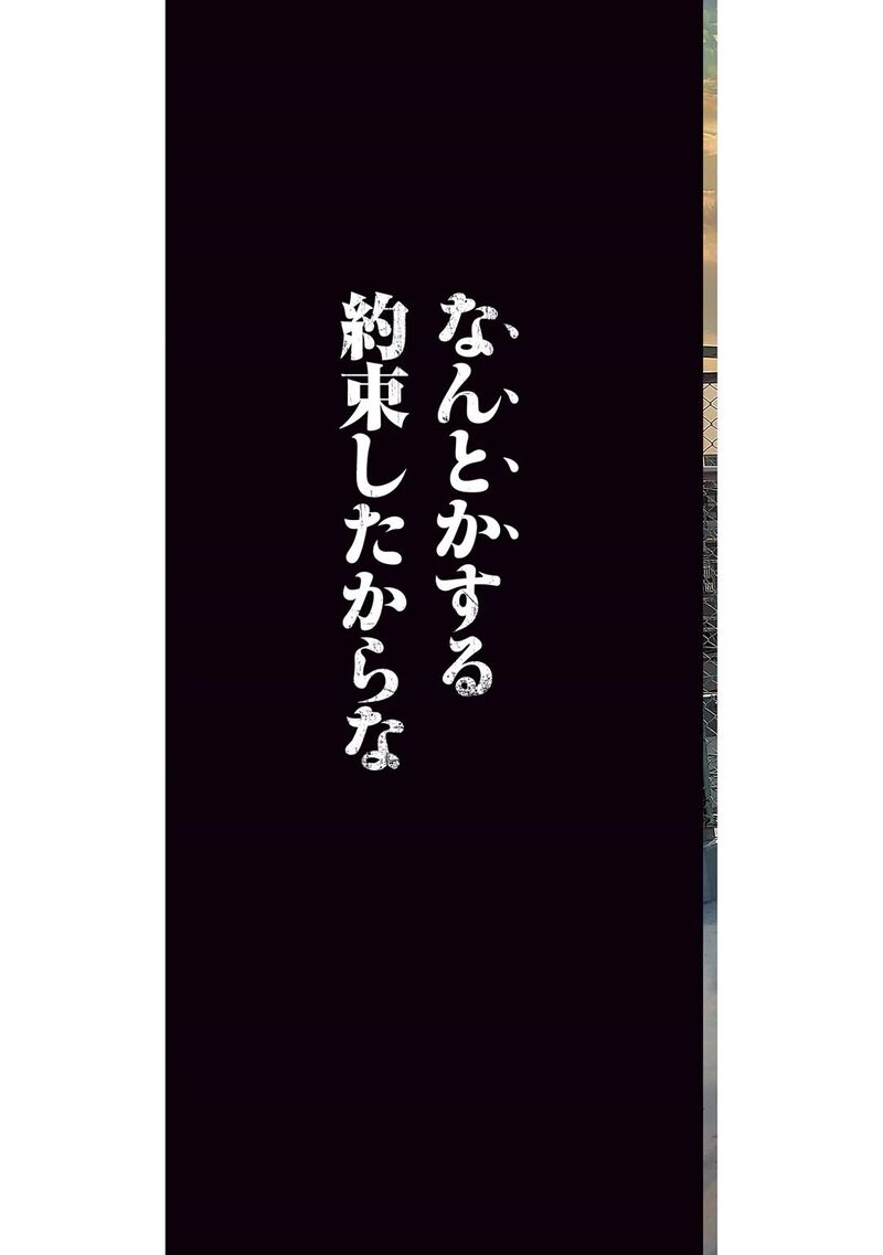 Amateur Vigilante 33 3