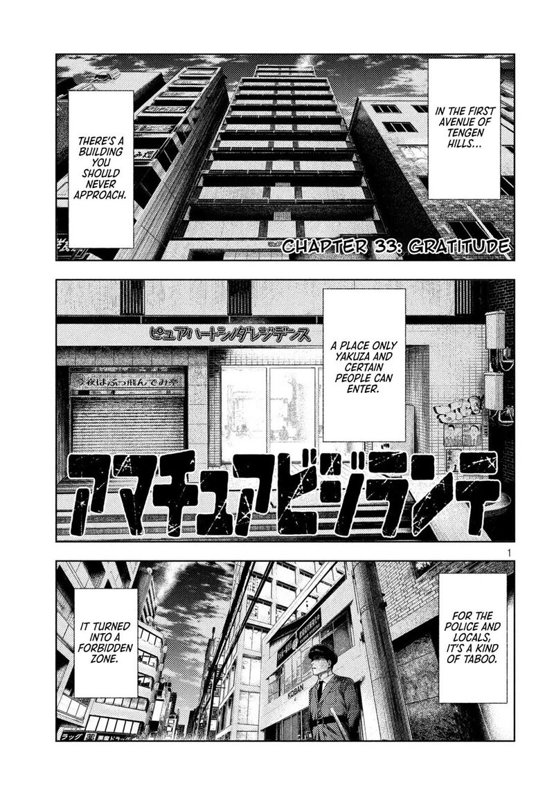 Amateur Vigilante 33 5