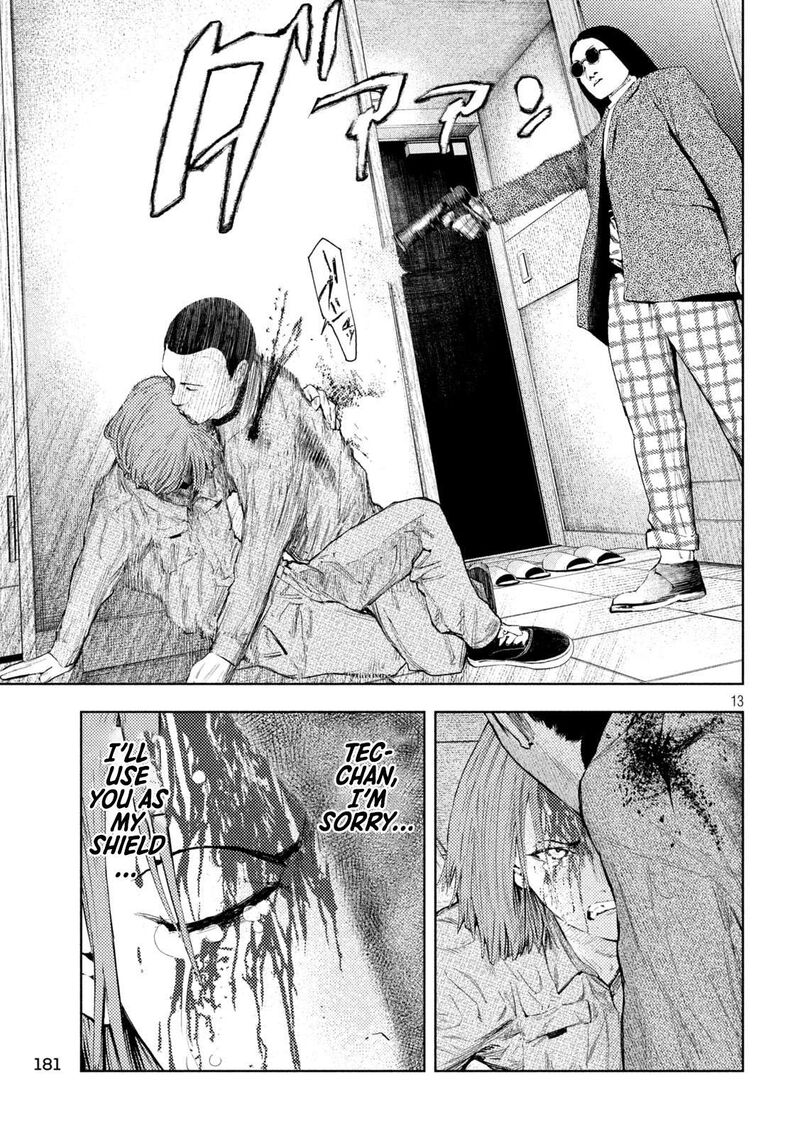 Amateur Vigilante 35 12