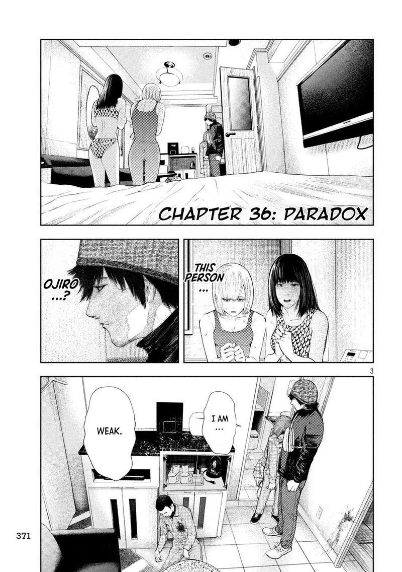 Amateur Vigilante 36 3