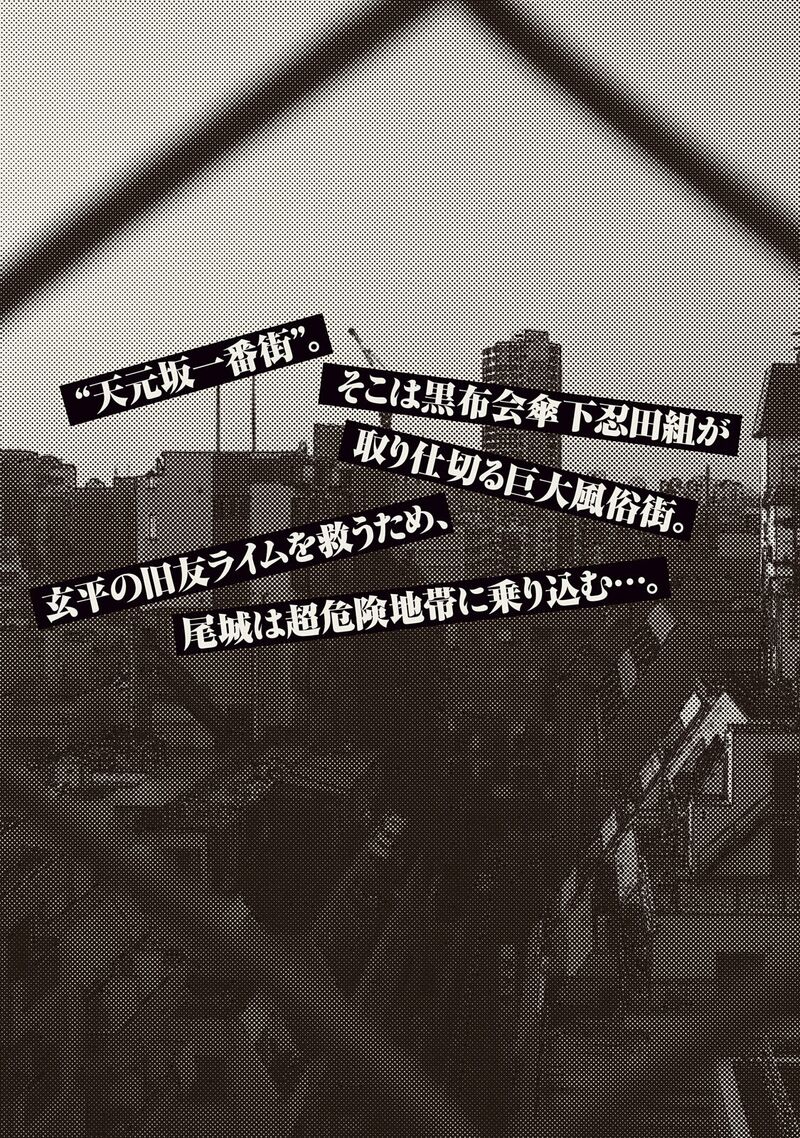 Amateur Vigilante 41 23