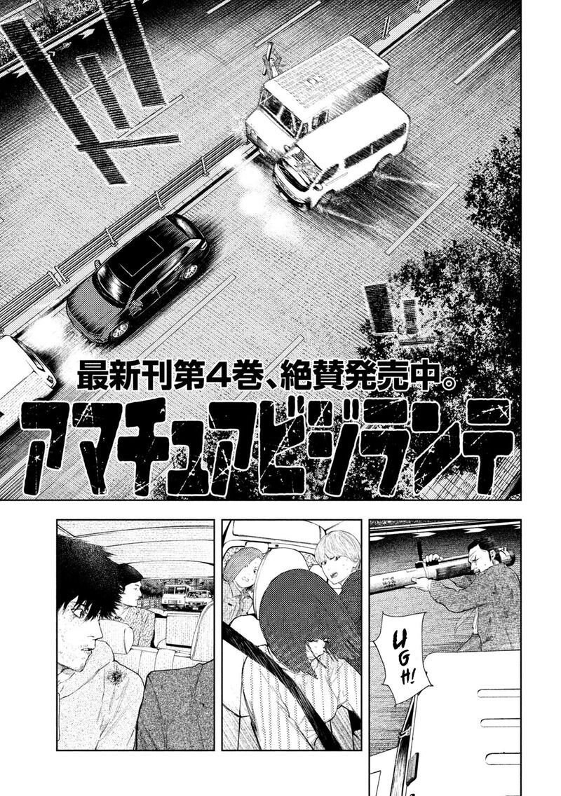 Amateur Vigilante 44 1