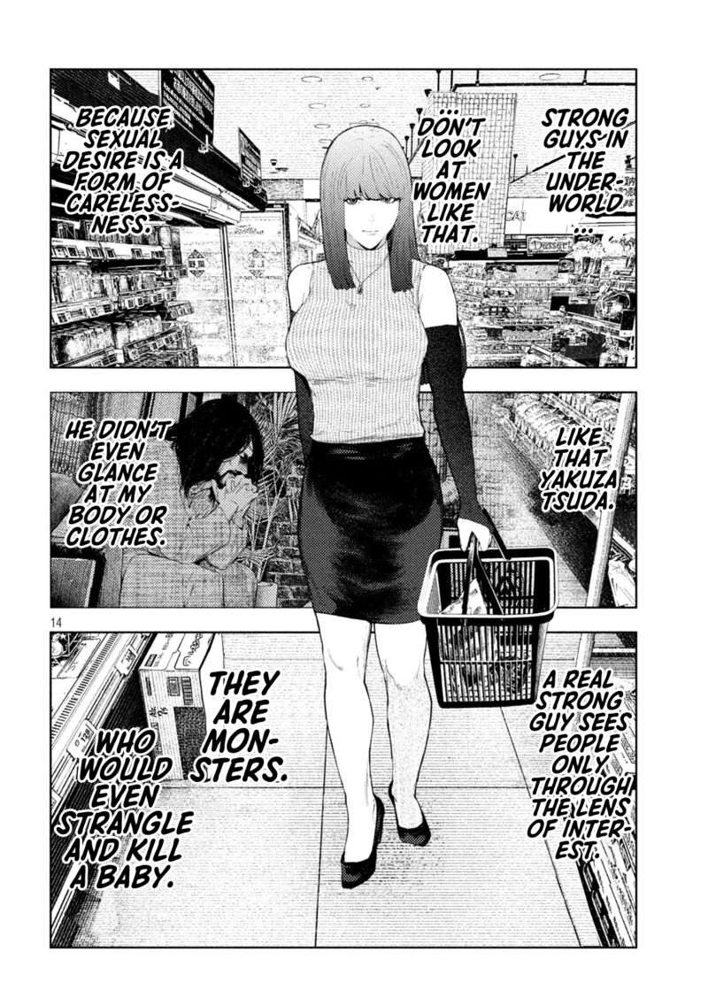 Amateur Vigilante 55 14