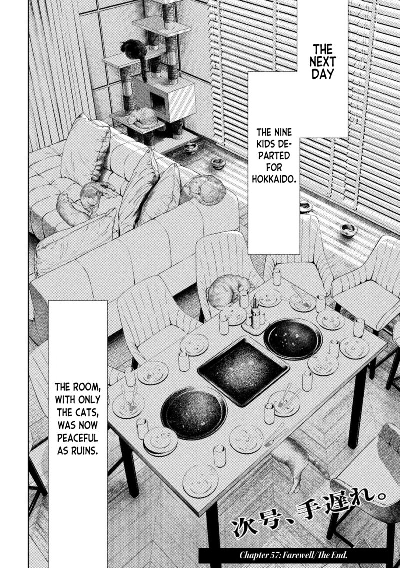 Amateur Vigilante 57 20