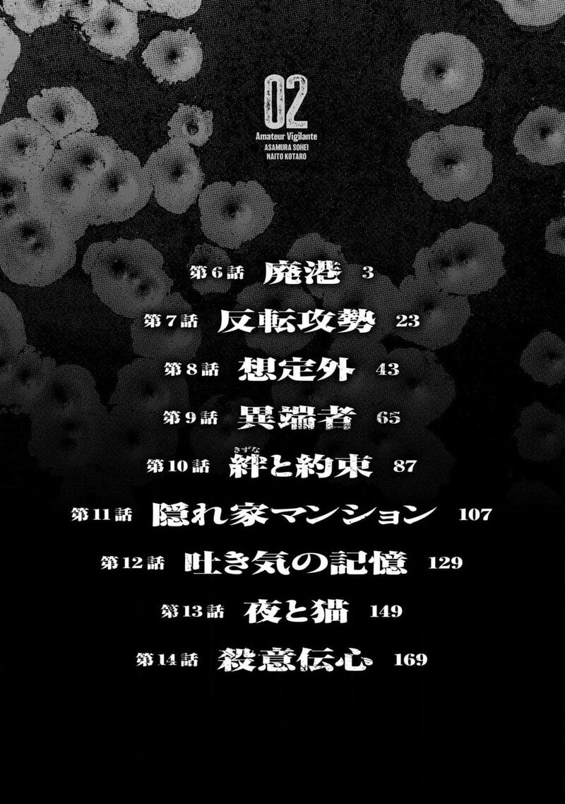 Amateur Vigilante 6 4