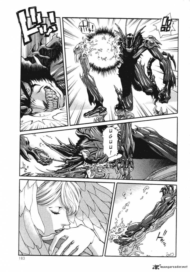 Amon 1 175
