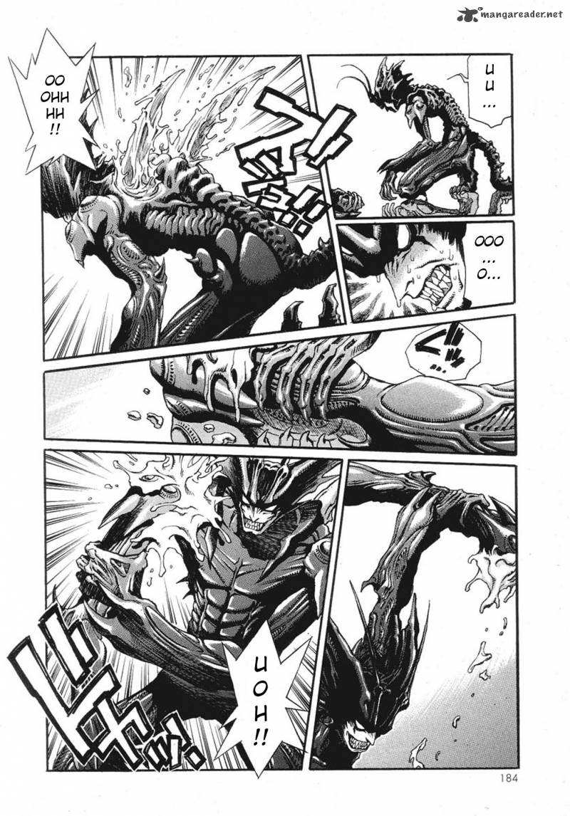 Amon 1 176