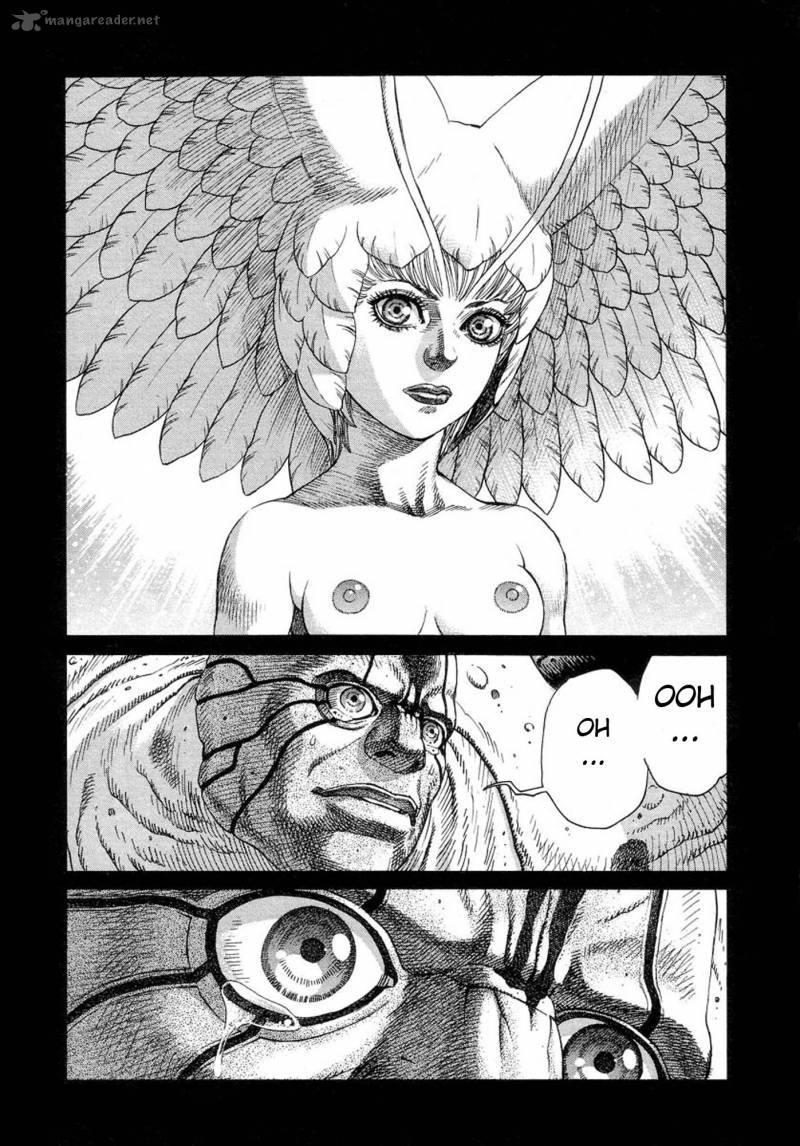 Amon 11 24