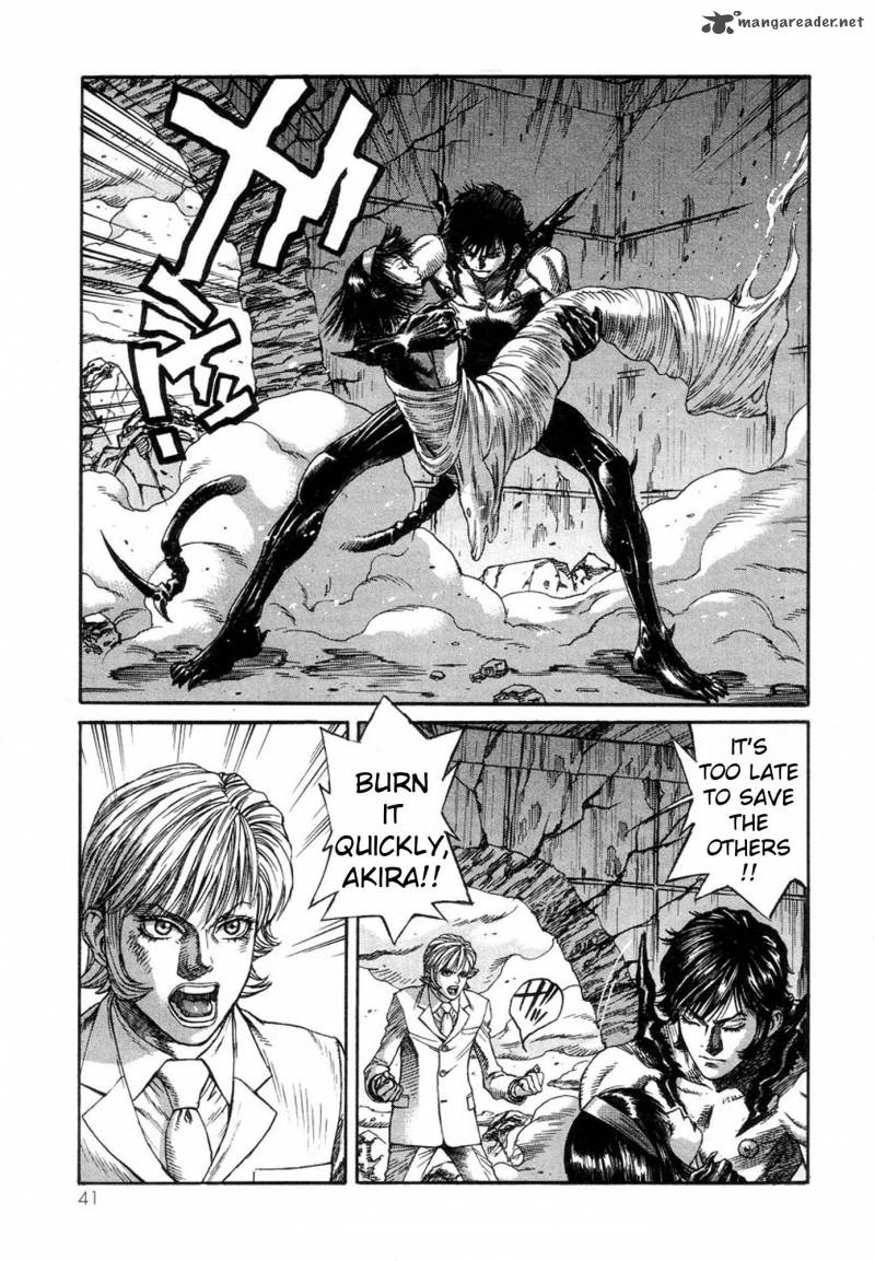 Amon 12 36