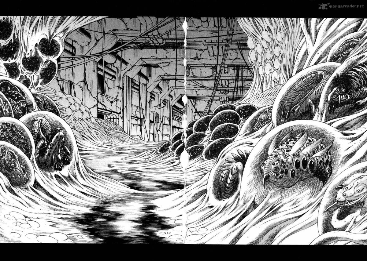 Amon 15 13