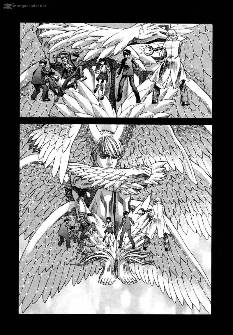 Amon 25 30